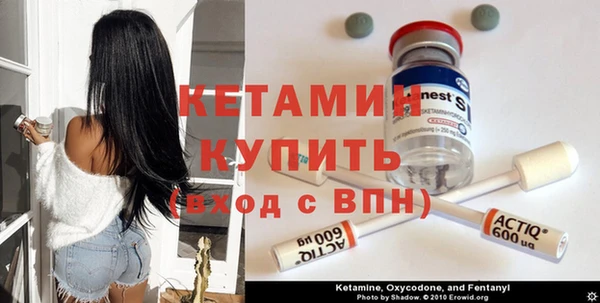 прущие грибы Верхний Тагил