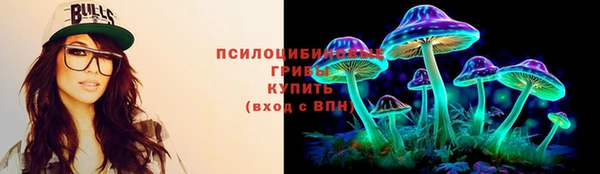 скорость Бородино