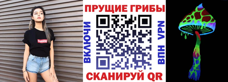 shop как зайти  Карпинск  Галлюциногенные грибы GOLDEN TEACHER 